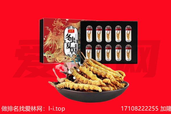 泸西县回收虫草.jpg